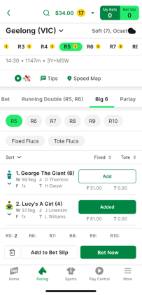 Screenshot of TAB app race page with 'Big 6' selected as the bet type and example selections made.