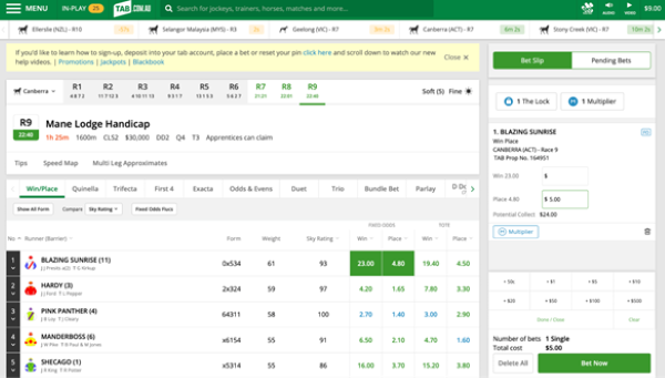 Screenshot of tab.com.au bet slip with example 'Place' bet.