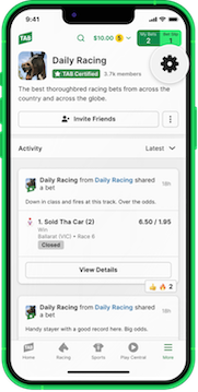Team page in Bets Friends, 'Settings' button is highlighted.