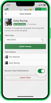 Team details page in Bets Friends, options to 'opt in' to notifications is shown.