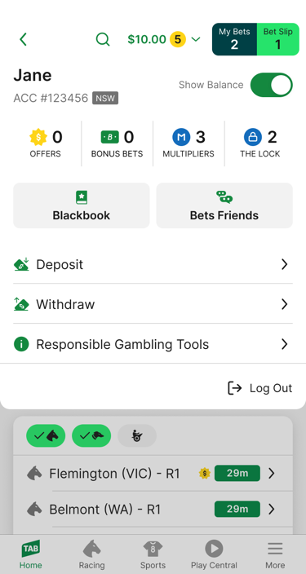 Image of TAB app expanded header.